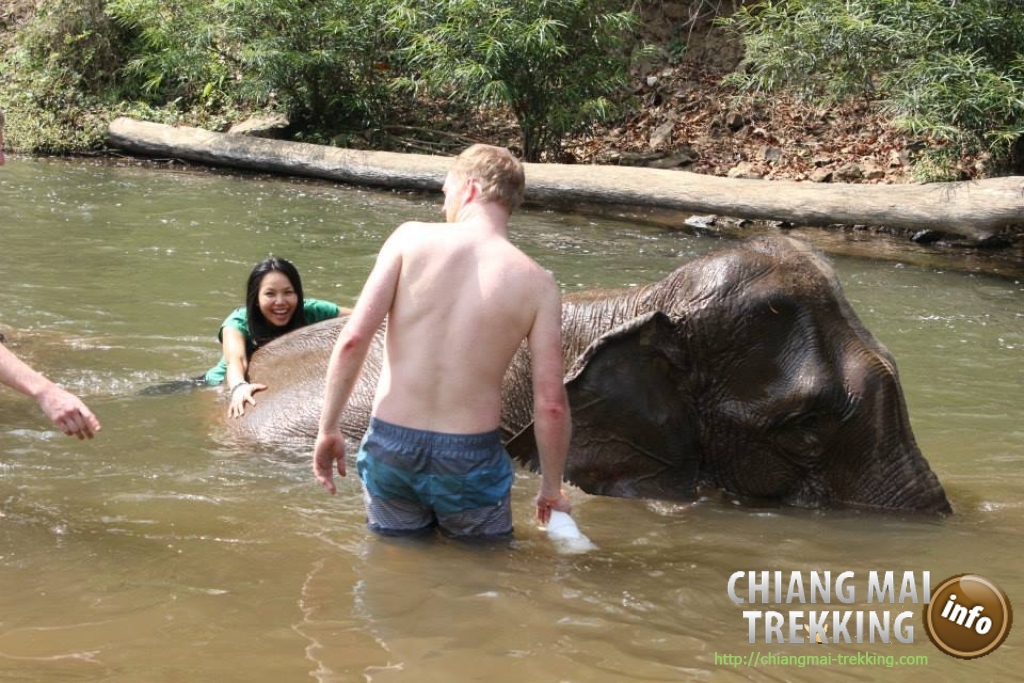 3-days/2-nights Trekking Tour | Chiang Mai Trekking | Das beste Trekking in Chiang Mai mit Piroon Nantaya
